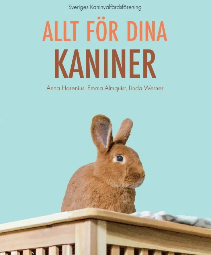 Allt för dina kaniner