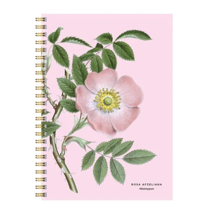 Anteckningsblock A5 linjerad Höstnypon