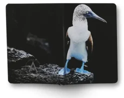 Anteckningsbok A6 linjerad mjuk pärm Mattias A. Klum fågel