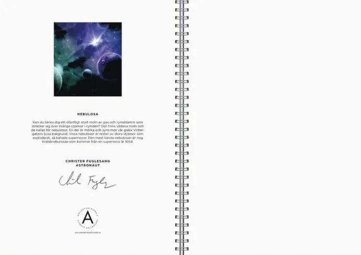 Anteckningsbok A4 olinjerad spiral Nebulosa