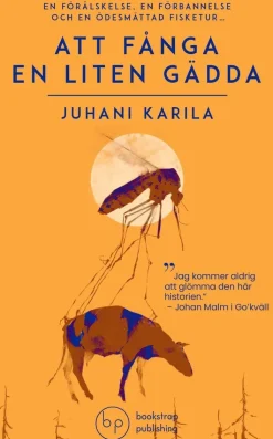 Att fånga en liten gädda