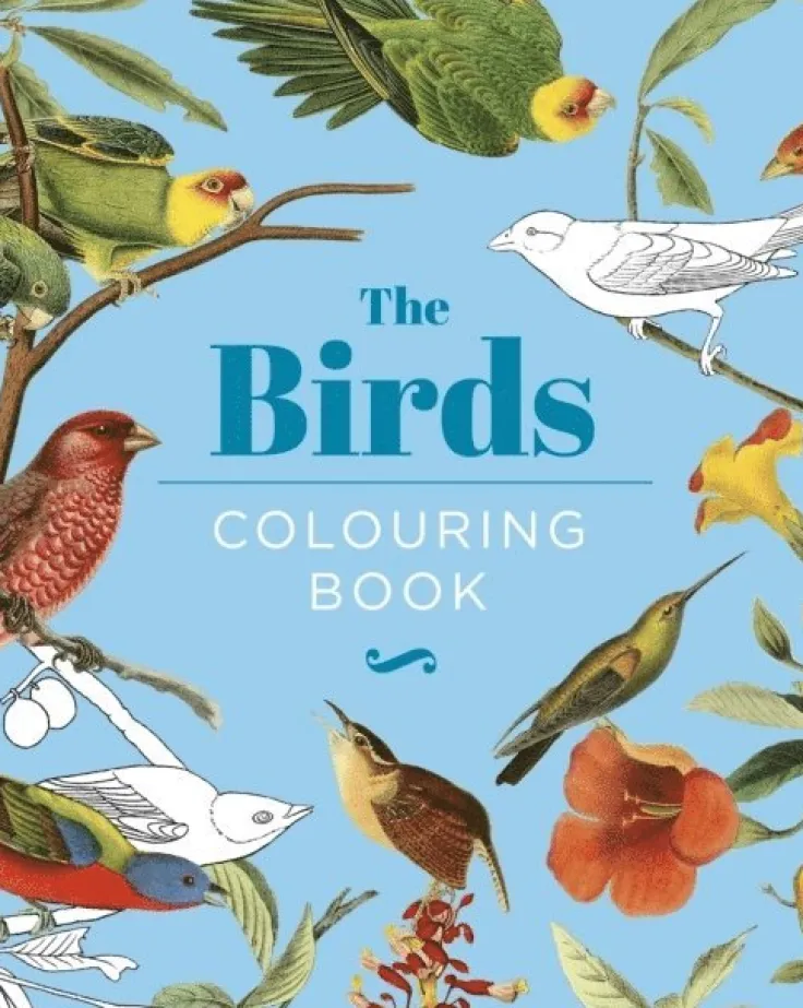 Birds Colouring Book