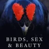 Birds, Sex and Beauty