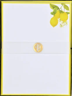 Brevpappersset - Amalfi Lemons