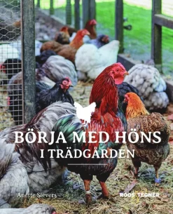 Börja med höns i trädgården
