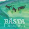 Bästa hästägaren : det du egentligen behöver veta för att ha en egen häst