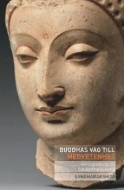 Buddhas väg till medvetenhet : en vägledning till Satipatthana-sutta