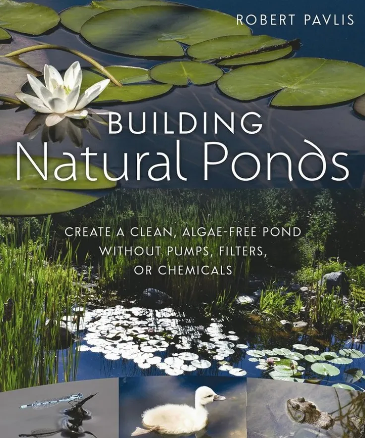 Building Natural Ponds