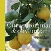 Citrusdrömmar & olivlundar : medelhavskänsla i trädgården
