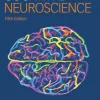 Cognitive Neuroscience