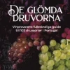 De glömda druvorna : vinprovarens fullständiga guide till 103 druvsorter i Portugal