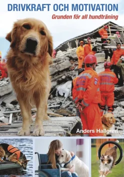 Drivkraft och motivation : grunden för all hundträning