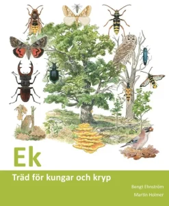 Ek : träd för kungar och kryp
