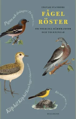 Fågelröster : om folkliga härmramsor och tolkningar