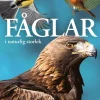 Fåglar : i naturlig storlek