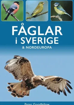 Fåglar i Sverige och Nordeuropa