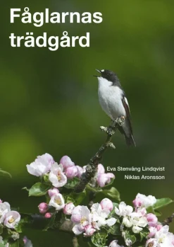 Fåglarnas trädgård
