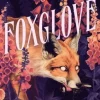 Foxglove