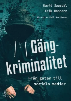 Gängkriminalitet : Från gatan till sociala medier