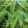 Gräs & bambu : inspiration - skötsel - lexikon