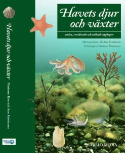 Havets djur och växter