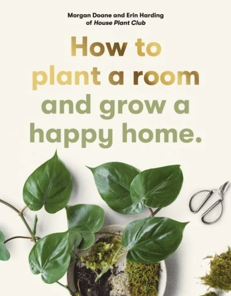 How to plant a room