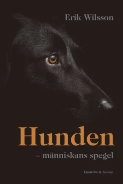 Hunden : människans spegel