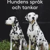 Hundens språk och tankar