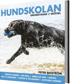 Hundskolan : grundlydnad & skötsel