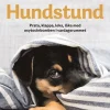 Hundstund : prata, klappa, leka, läka med oxytocinbomben i vardagsrummet