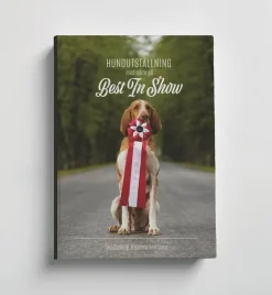 Hundutställning med sikte på Best in Show