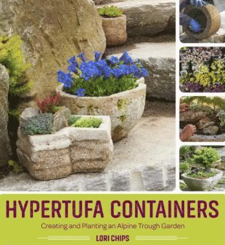 Hypertufa Containers