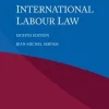 International Labour Law