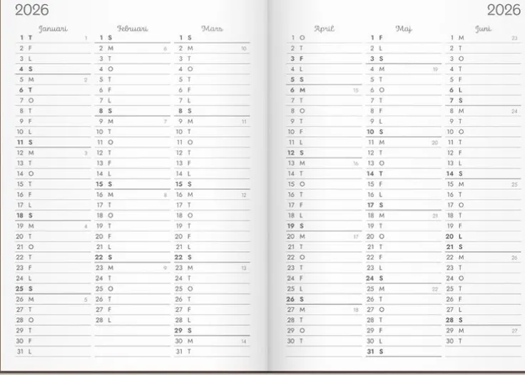 Kalender 2026 Doodle inbunden