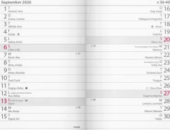Kalender 2026 Lilla Fick blå kartong