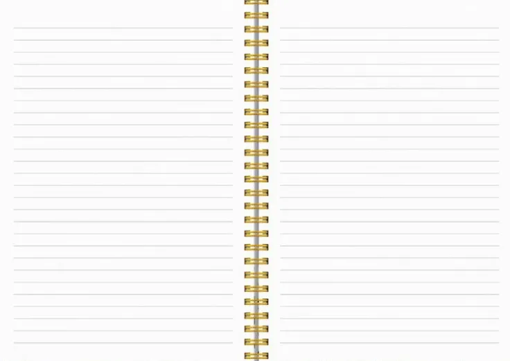 Kalender 2025-2026 Senator A5 Story Äng