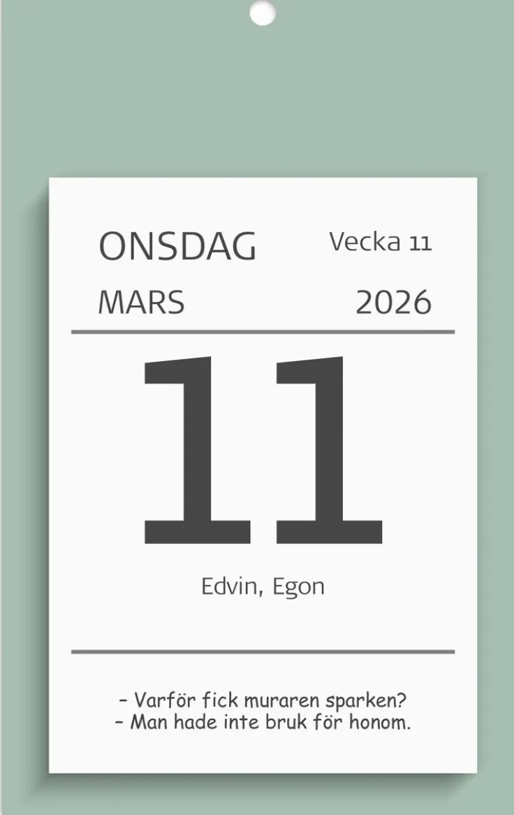 Kalender 2026 Väggplån med dagblock Humor