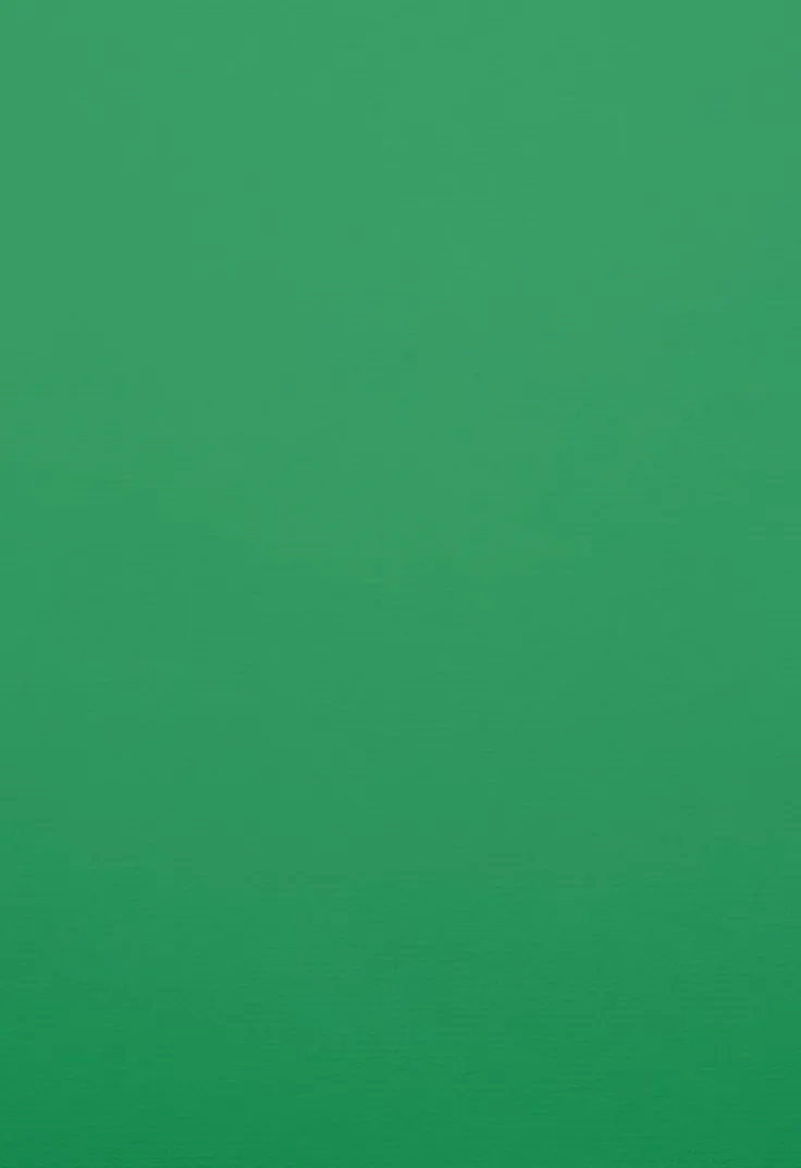 Kartong A4 220g 5-pack gräsgrön