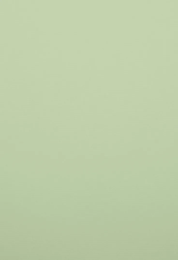 Kartong A4 220g 5-pack lime