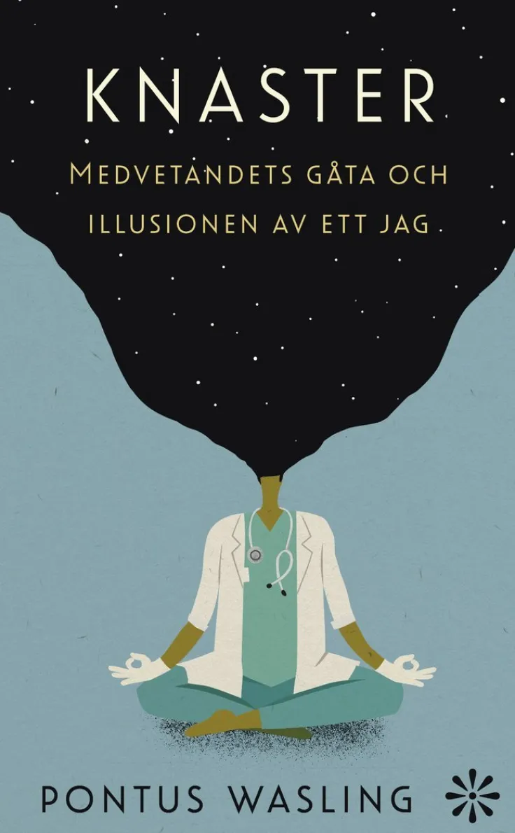 Knaster : medvetandets gåta och illusionen av ett jag