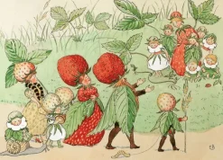 Kort Jordgubbsfamiljen