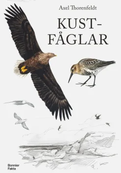 Kustfåglar