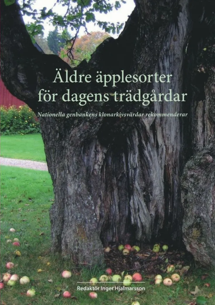 Äldre äpplesorter för dagens trädgårdar. Nationella genbankens klonarkivsvärdar rekommenderar