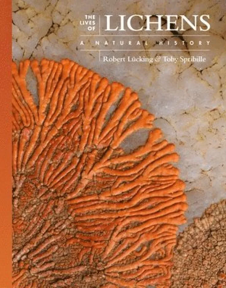 Lives of Lichens