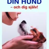 Lär känna din hund - och dig själv!