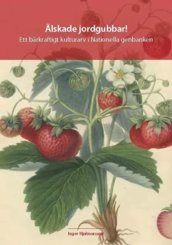 Älskade jordgubbar! - Ett bärkraftigt kulturarv i Nationella genbanken