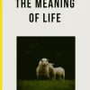 Meaning of Life