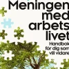 Meningen med arbetslivet : handbok för dig som vill vidare