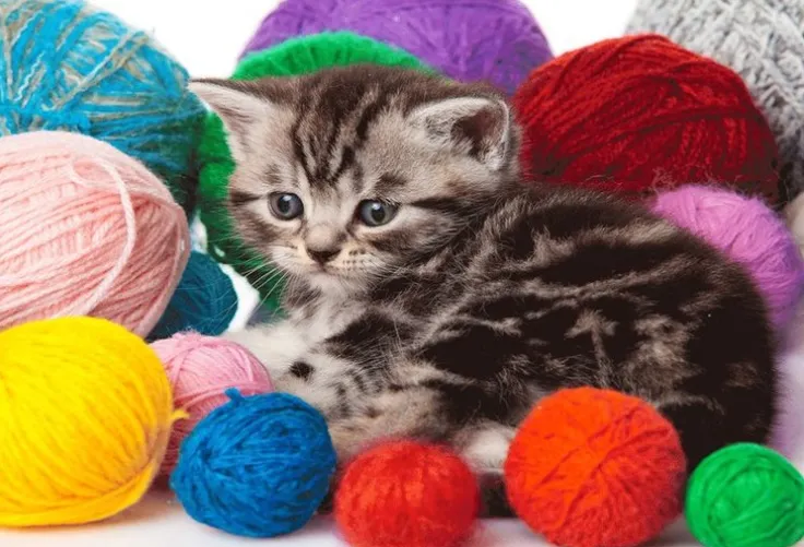 Minipussel 150 bitar Kattunge