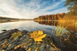 Minipussel 150bit Höst